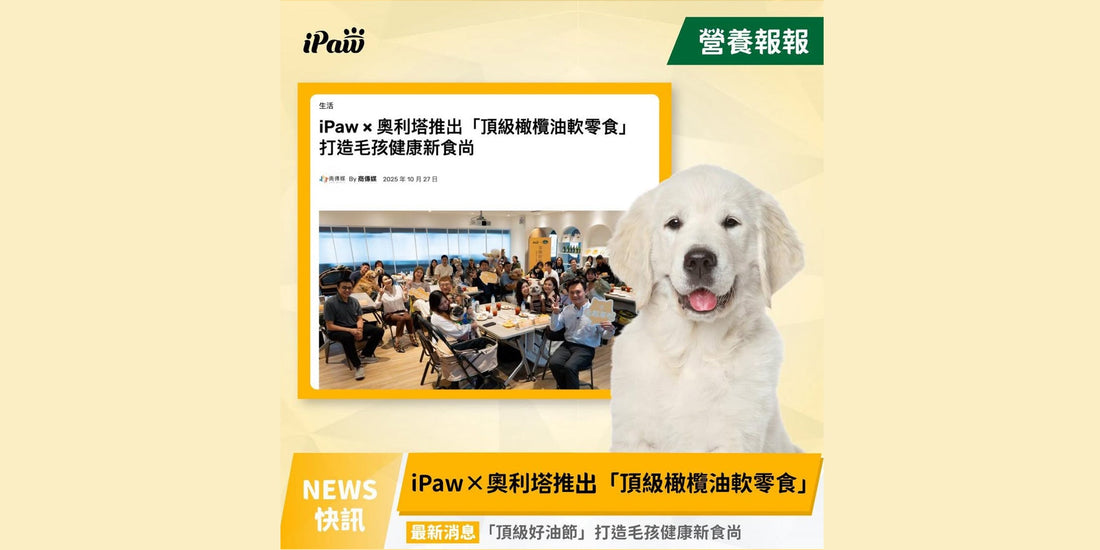 【新聞】iPaw頂級好油節｜感謝媒體報導