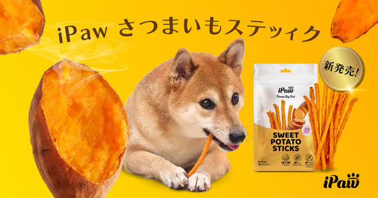 新商品の発売！さつまいもスティック