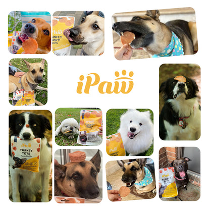 iPaw - 雞肉米花 (Chicken Tots)