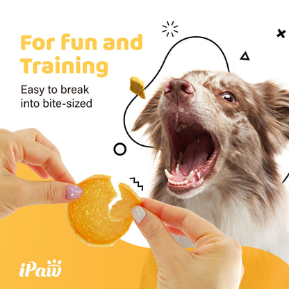 iPaw - 火雞圓片 (Turkey Jerky Chips)