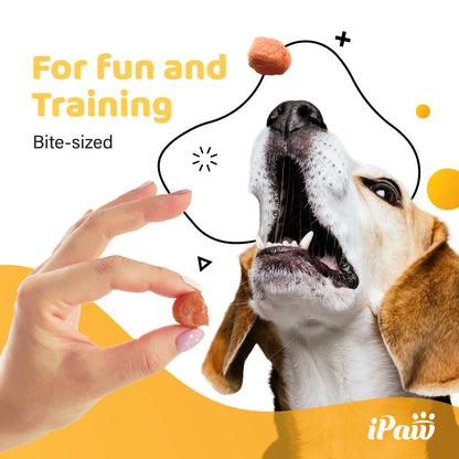 iPaw - 火雞米花 (Turkey Tots)