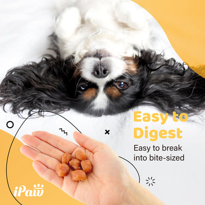 iPaw - 火雞米花 (Turkey Tots)