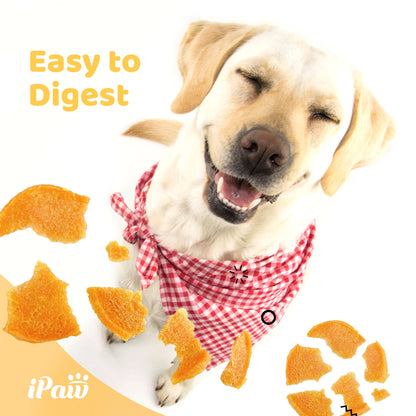 iPaw - 雞肉圓片 (Chicken Jerky Chips)