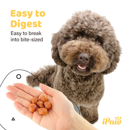 iPaw - 雞肉米花 (Chicken Tots)