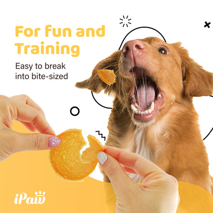 iPaw - 雞肉圓片 (Chicken Jerky Chips)