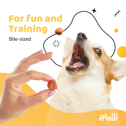 iPaw - 雞肉米花 (Chicken Tots)