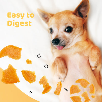 iPaw - 火雞圓片 (Turkey Jerky Chips)