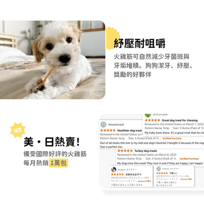 iPaw-火雞筋薯條