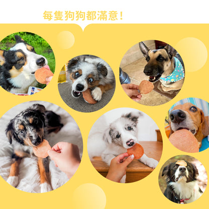 iPaw - 雞肉圓片 (Chicken Jerky Chips)