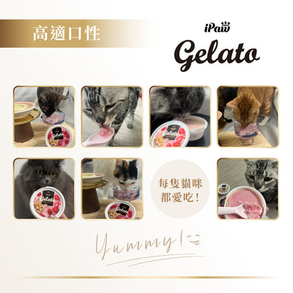 iPaw - 貓咪的義式冰淇淋