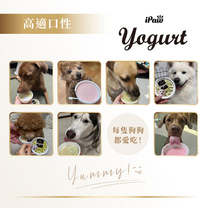 iPaw - 狗狗的優格