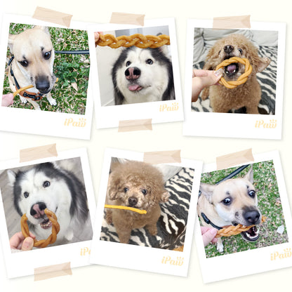 iPaw-火雞肉甜甜圈