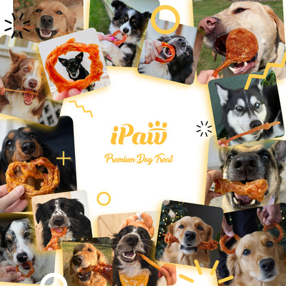 iPaw - Turkey Tendon for Dogs (Ring)