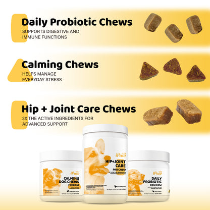 iPaw - Daily Probiotic Chews for Dogs