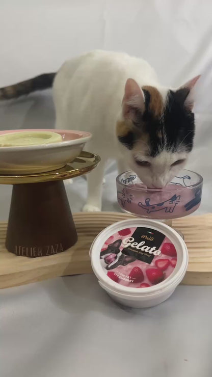 iPaw - 貓咪的優格