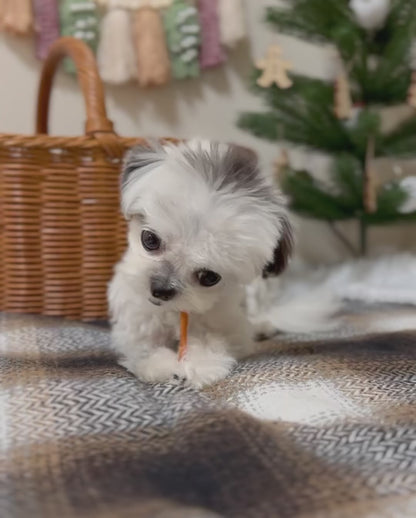 iPaw - 火雞筋條（ターキーアキレス 75g）