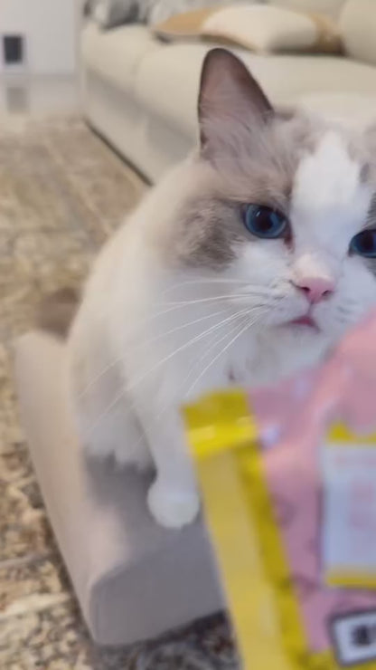 iPaw - 滋養食 貓咪肉泥條（猫のピューレ）