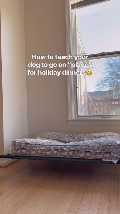 iPaw - 狗狗訓練軟零食 (Dog Training Treats)