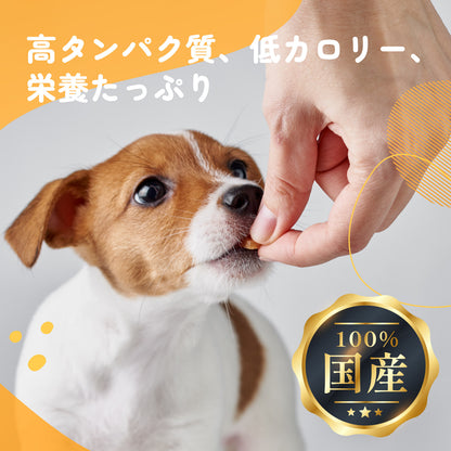 iPaw - 火雞筋條（ターキーアキレス 50g）